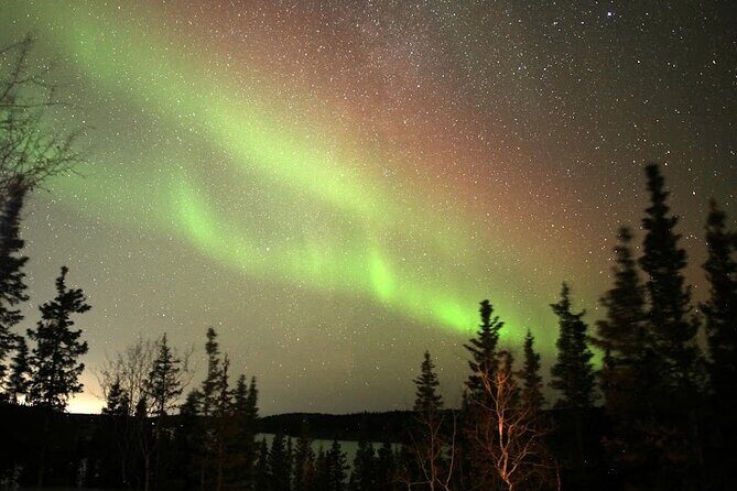 Aurora Chasing + Aurora Lodge - Inside the lodge: the comfort factor that makes winter survivable