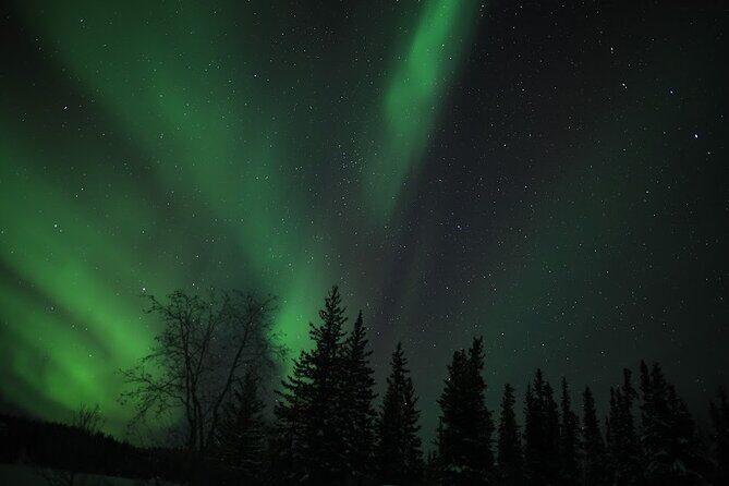 Aurora Chasing + Aurora Lodge - Value check: why $102.42 can be fair here