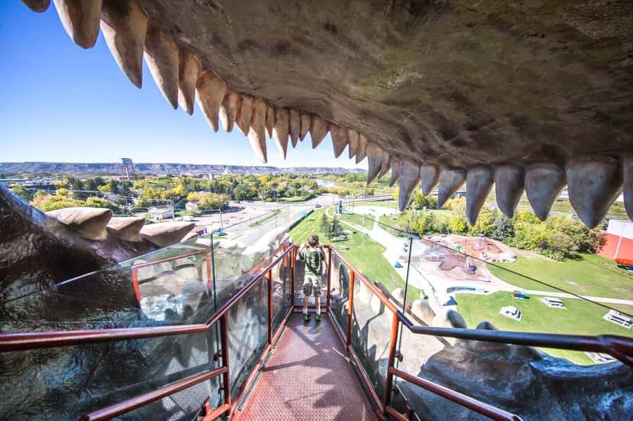 Badlands Tour: Drumheller with Museum, Hoodoos & Coal Mine - Royal Tyrrell Museum: Fossils First, Badlands Second