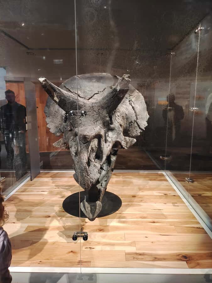 Badlands Tour: Drumheller with Museum, Hoodoos & Coal Mine - Star Mine Suspension Bridge and Coal-Mining Story Beats