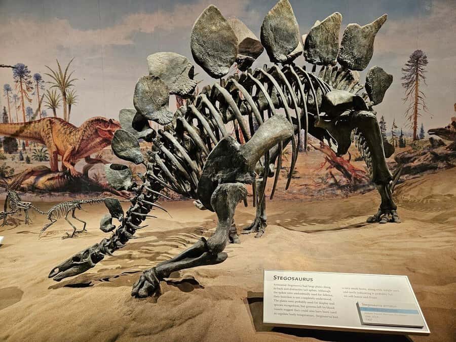 Badlands Tour: Drumheller with Museum, Hoodoos & Coal Mine - Atlas Coal Mine National Historic Site: Optional, Ticketed, and Worth Researching