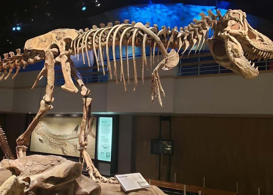 Badlands Tour: Drumheller with Museum, Hoodoos & Coal Mine - What’s Included in the Price (and Why It’s Good Value)