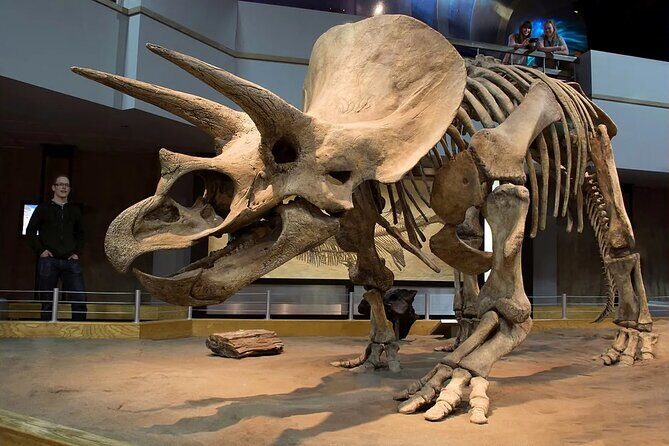 Badlands Tour: Drumheller with Museum, Hoodoos & Dinosaurs - World’s Largest Dinosaur and Drumheller Plaza: Quick Photos, Real Town Energy
