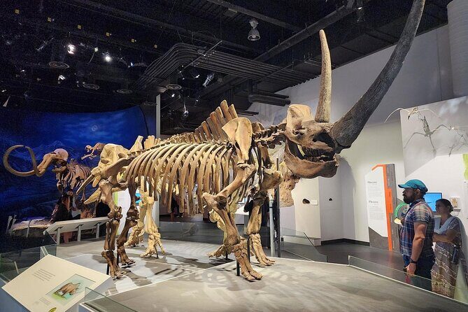 Badlands Tour: Drumheller with Museum, Hoodoos & Dinosaurs - Star Mine Suspension Bridge: The Kind of Stop That Feels Different at Ground Level