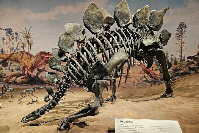 Badlands Tour: Drumheller with Museum, Hoodoos & Dinosaurs - Hoodoos Trail: Mushroom Rocks That Look Unreal in Person