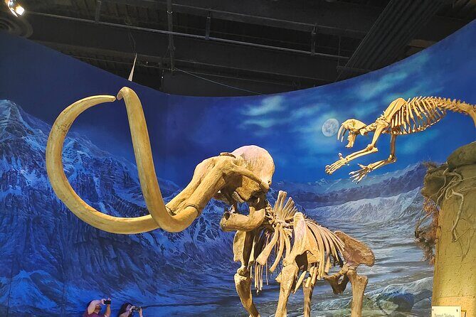 Badlands Tour: Drumheller with Museum, Hoodoos & Dinosaurs - Price and Value: Is $113 a Good Deal for This Kind of Day?