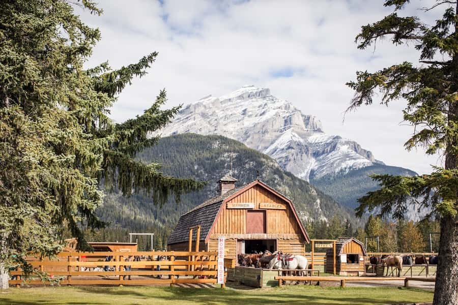 Banff: 3-Hour Bow Valley Loop Horseback Ride - Wildlife spotting: how to look without ruining the moment
