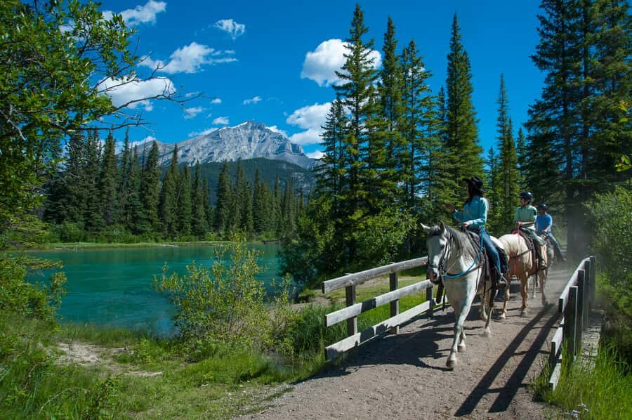 Banff: 3-Hour Bow Valley Loop Horseback Ride - Thick forest to Sulphur Mountain: the climb that pays off