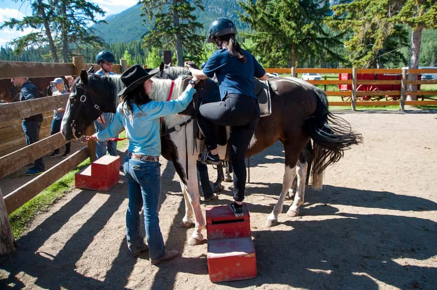 Banff: 3-Hour Bow Valley Loop Horseback Ride - Price and value: is $208 worth it?