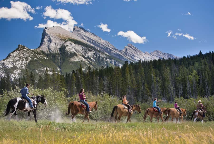 Banff: 3-Hour Bow Valley Loop Horseback Ride - The 3-hour Bow Valley loop: what happens on the trail