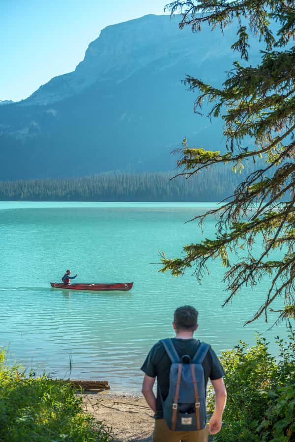 Banff: 3 National Parks, Takakkaw Falls, & Emerald Lake Tour - Banff National Park Backroads: Views Plus Wildlife Odds