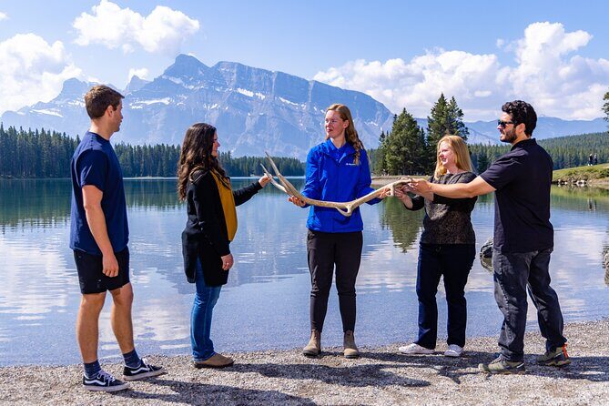 Banff and its Wildlife - Year Round Tour - Banff by van, with wildlife watching built into sightseeing