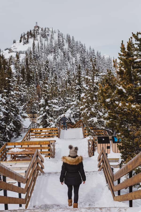 Banff: Banff Town, Gondola, and Canyon Day Tour - Price and what $47 really buys you
