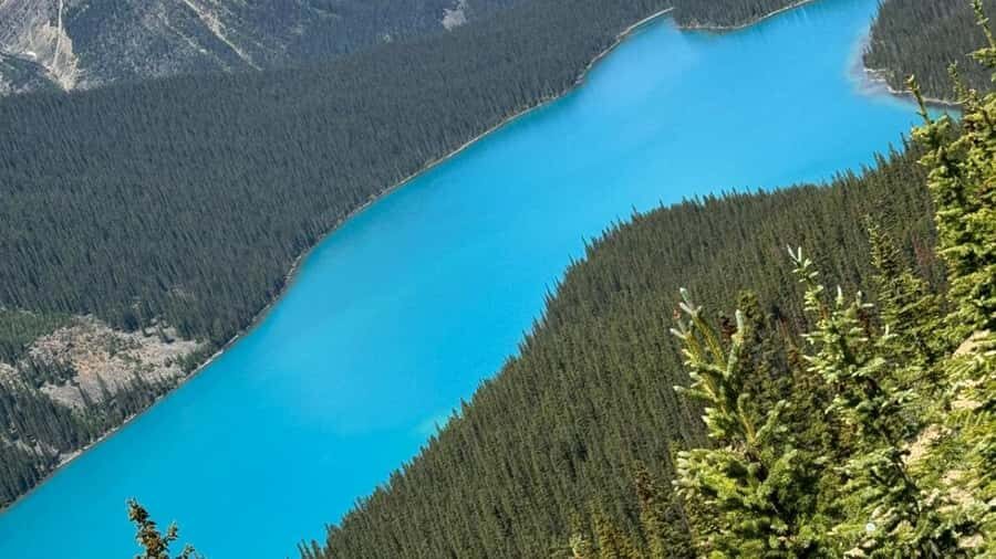 Banff/Calgary/Canmore: Crowfoot Glacier, 5 Lakes & Canyon - The Columbia Icefield: the main event that deserves real time