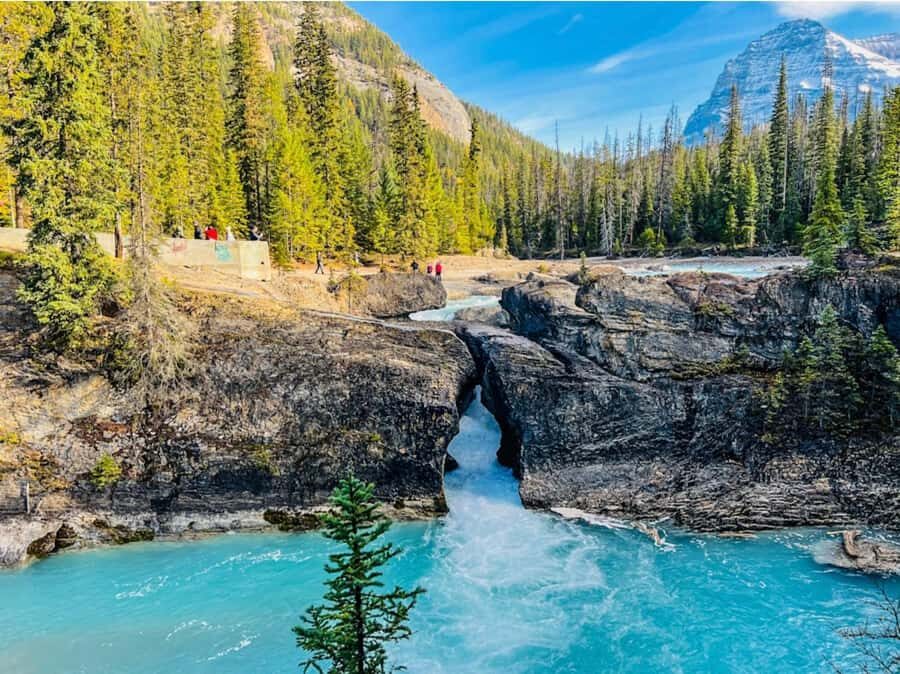 Banff/Calgary: Louise, Moraine/Bow, Emerald & Peyto 4 Lakes - Pickup timing: know the meeting point so you don’t miss the bus