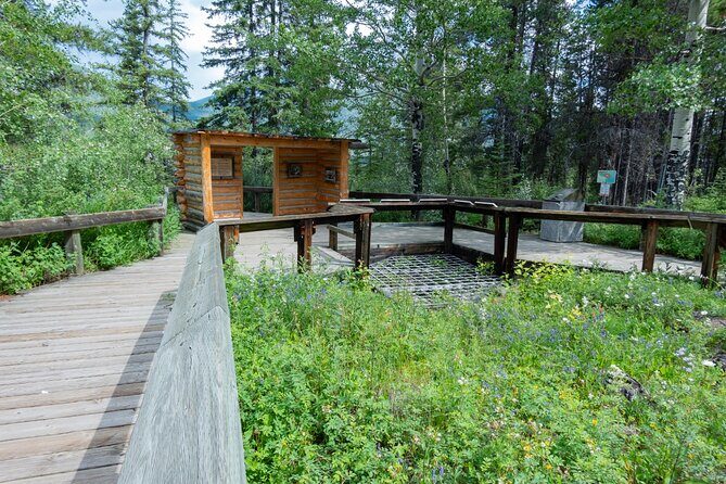 Banff Cave & Hot Springs Audio Walking Tour (Not a Ticket) - Bow River Walk with Wetlands and Hot-Springs Views (Plus a Mud Warning)