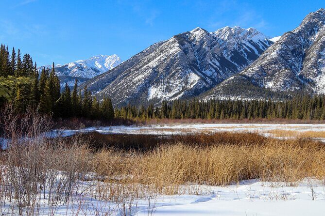 Banff Cave & Hot Springs Audio Walking Tour (Not a Ticket) - Sulphur Mountain and the Cosmic Ray Station Story