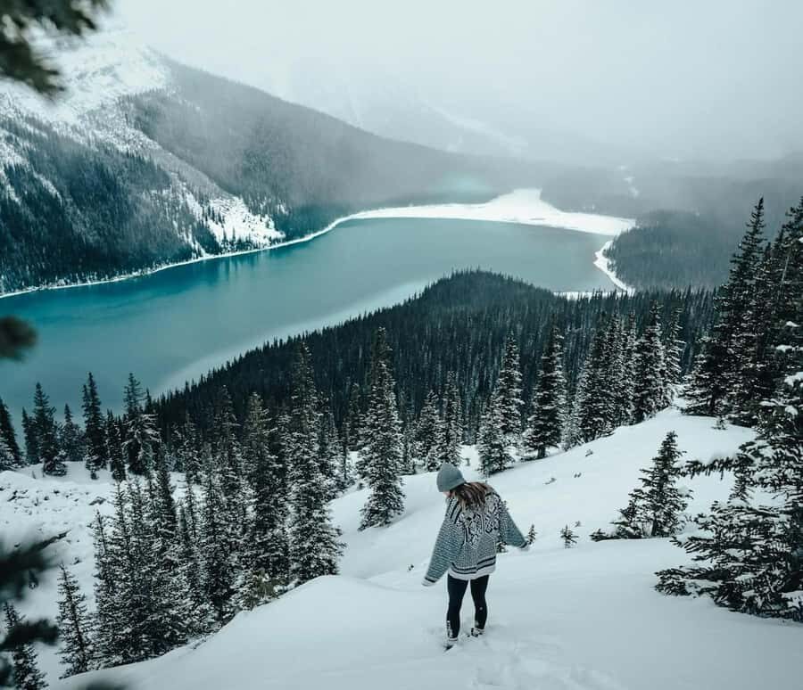 Banff: Columbia Icefield, Skywalk, Parkway, Bow & Peyto Lake - Icefields Parkway in one day from Calgary