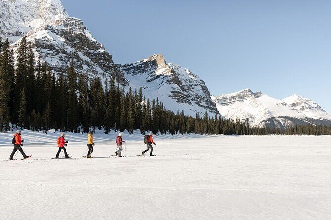 Banff Day Trip: Johnston Canyon, Fairmont Banff Springs, Gondola - Fairmont Banff Springs lunch break: more than a photo stop