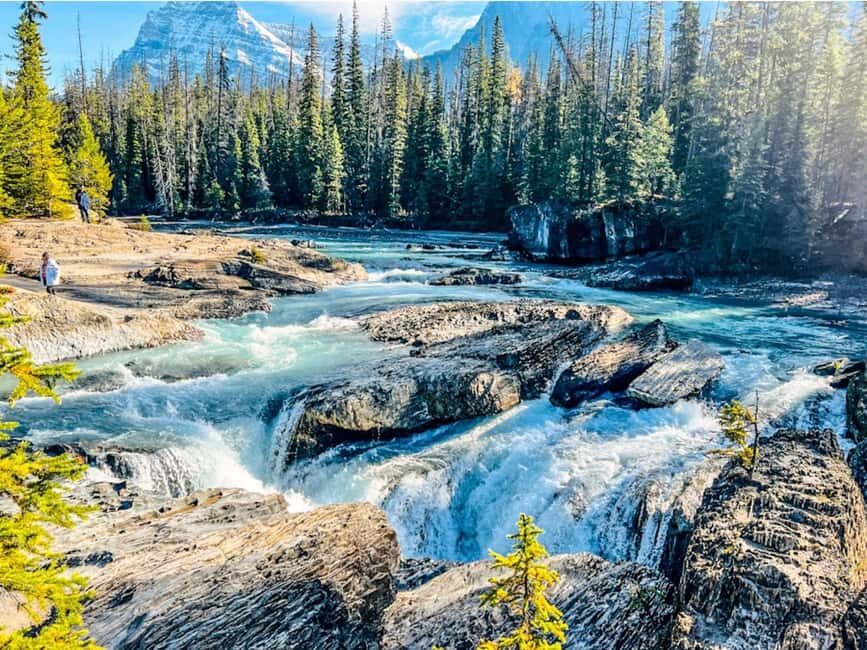 Banff: Emerald Lake, Wapta Falls & Takakkaw Falls Day Trip - Emerald Lake: Peaceful Water, Quick Guided Time, Great Photo Angles