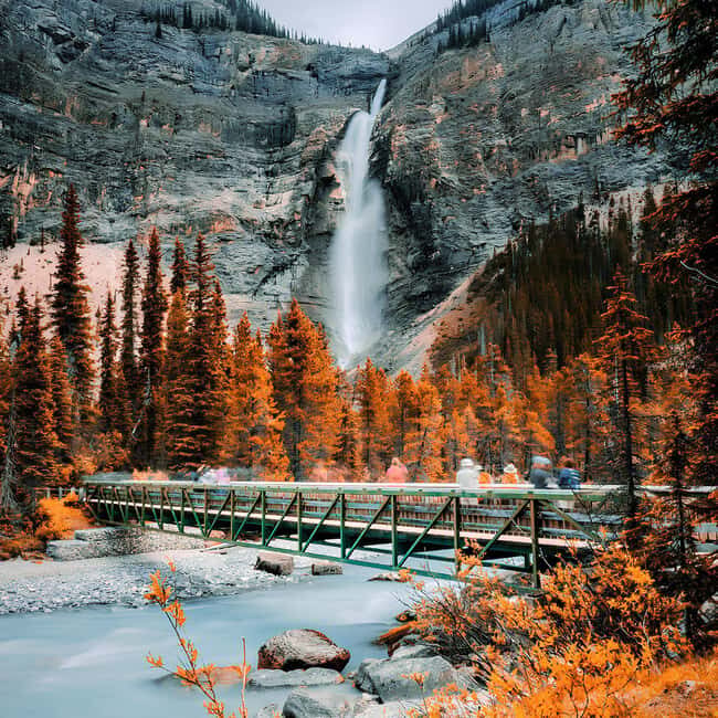 Banff: Emerald Lake, Wapta Falls & Takakkaw Falls Day Trip - Pickup and Drop-Off: Easy Start, Easy Finish (If You Show Up On Time)