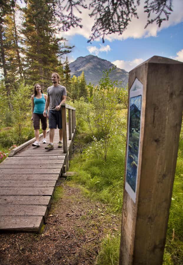 Banff GHOST TOWN History Walking Tour + Transportation - Transportation that keeps the day simple