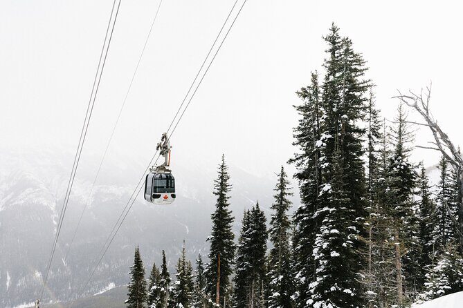 Banff Gondola & Lake Minnewanka Cruise Combo - Timing that actually matters: the 1h30 descent and the cruise gap