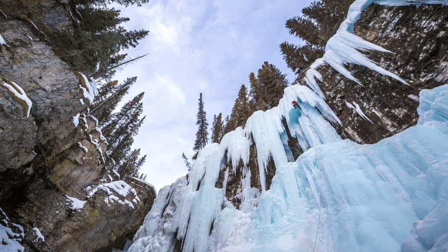 Banff: Gondola Ticket and Johnston Canyon Hiking Tour - Key highlights worth getting excited about