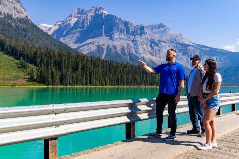 Banff: Grizzly Bear Refuge Tour with Lunch - Purcell Mountains gondola: the fast route to big-height views