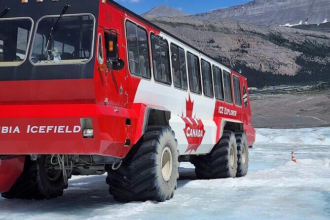 Banff Icefield Parkway Private Full Day Tour - Peyto Lake: The Most Famous Stop and the Best Viewpoint Walk