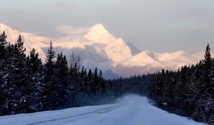 Banff: Icefields Parkway & Abraham Lake Ice Bubbles Tour - Key things that make this tour worth your time