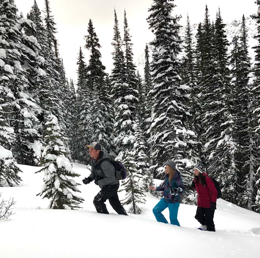 Banff/Jasper: Canadian Rockies Helicopter & Snowshoe Tour - The 1-hour guided snowshoe trek to a frozen waterfall