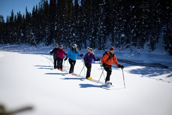 Banff, Lake Louise and Johnston Canyon - Winter Wonderland Tour - Bow Valley Parkway: Scenic Driving, Wildlife Chances, and Secret Stops