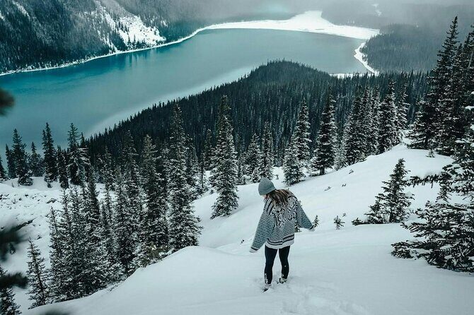 Banff: Lake Louise, Marble Canyon, Bow Lake, Peyto Lake Tour - One Day From Calgary: What This Route Really Gives You