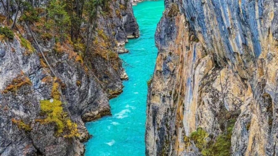 Banff: Lake Louise, Moraine, Emerald & Johnston Canyon Tour - Getting There From Calgary, Banff, or Canmore Without the Parking Headache