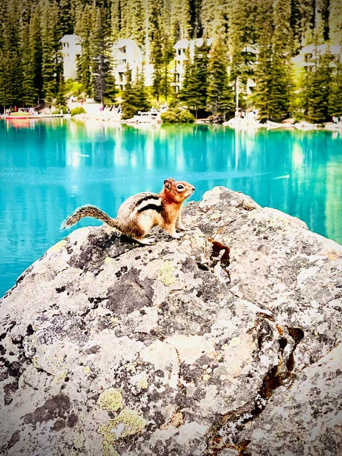 Banff: Lake Louise, Moraine, Emerald Lake & Canyon Day Trip - Johnston Canyon hike: Lower Falls and Upper Falls, with real canyon drama