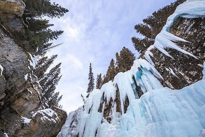 Banff, Lake Louise & Yoho National Parks 2-Day Tour - Who this 2-day parks tour is best for