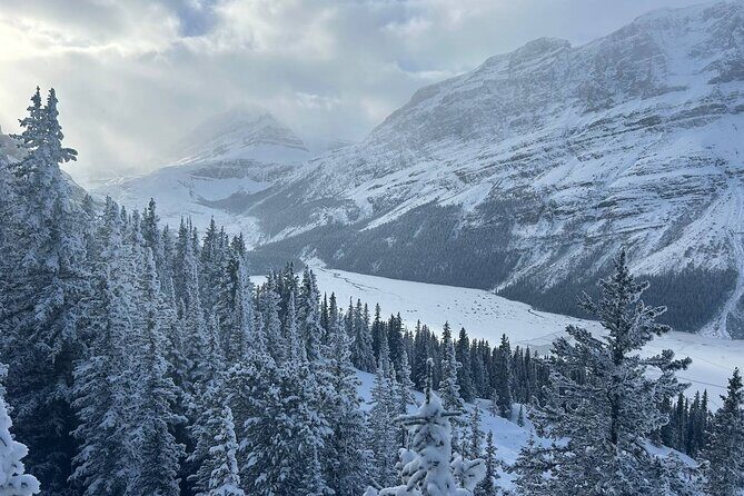 Banff Lakes and Canyon Adventure - The guide and how the day is kept organized