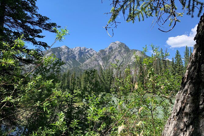 Banff LOST TOWNS and Untold Stories! 2hr Walk + Transportation - Key things I’d zero in on