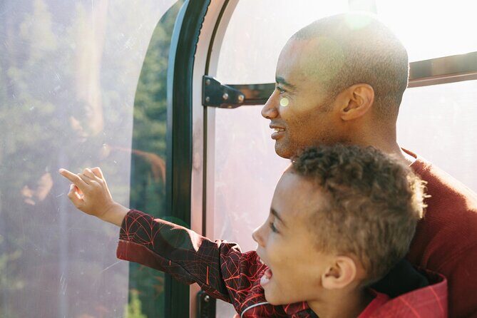Banff Morning Tour Scenic Highlights and Gondola Ride - Banff Gondola ride: the big summit views that justify the ticket