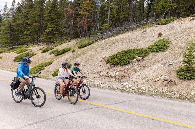 Banff Mountain Lakeside - E-bike Tour - Weather reality in Banff: rain gear changes the whole day