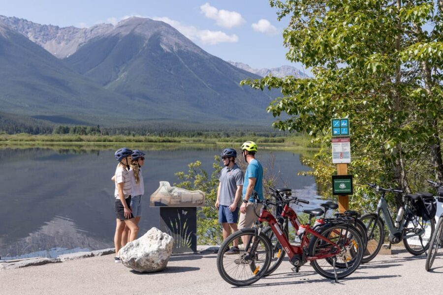 Banff: Mountain Lakeside Guided E-Bike Tour - Wildlife Safety and Road Comfort: The Real-World Side of Riding Near Town