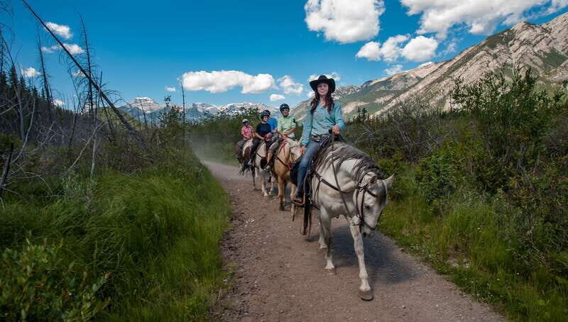 Banff National Park: 2-Hour Sundance Loop Horseback Ride - Arriving at Warner Stables: where your ride really starts