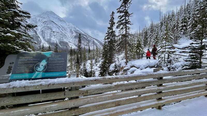 Banff National Park: Canyons, Lakes & Local Favourites - Small-group touring in an air-conditioned van: how the day really flows