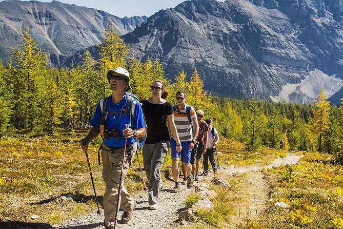 Banff National Park Guided Hike with Lunch - The morning plan: pickup timing and getting to Moraine Lake
