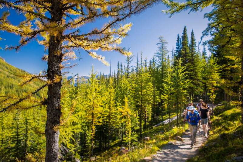 Banff National Park: Guided Signature Hikes with Lunch - Banff in a 7-hour block: how the day actually flows