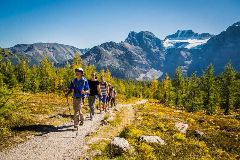Banff National Park: Guided Signature Hikes with Lunch - What the guides do that you’ll actually notice