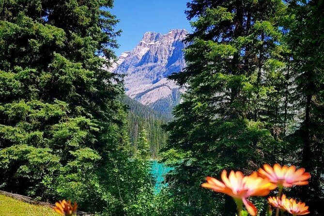 Banff National Park Moraine Lake and Lake Louise Explorer Tour - Pickup, the van, and group size: comfort and control
