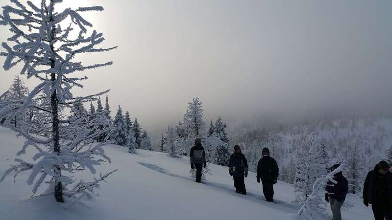 Banff National Park: Sunshine Meadows Snowshoeing Experience - Key Things That Make This Snowshoeing Trip Worth It