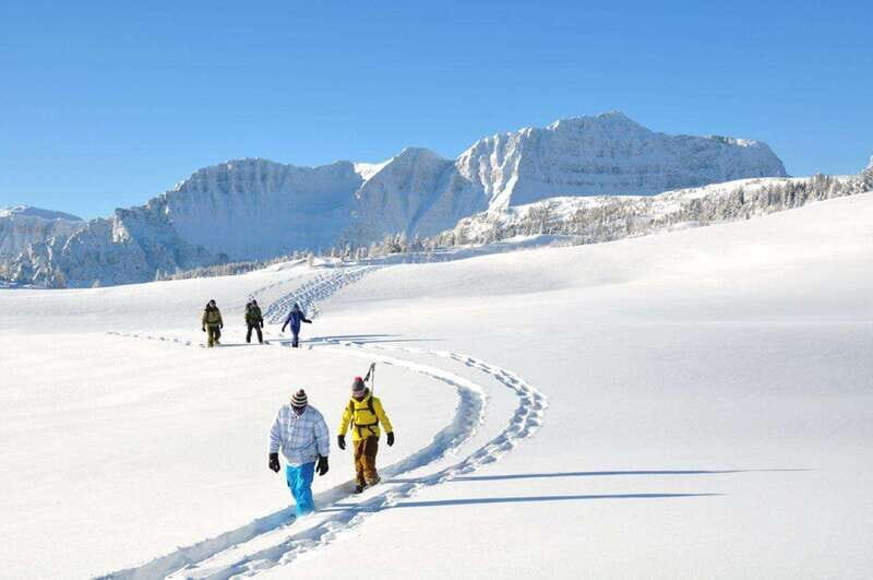 Banff National Park: Sunshine Meadows Snowshoeing Experience - Price and Value: Is $102 for 4 Hours a Good Deal?